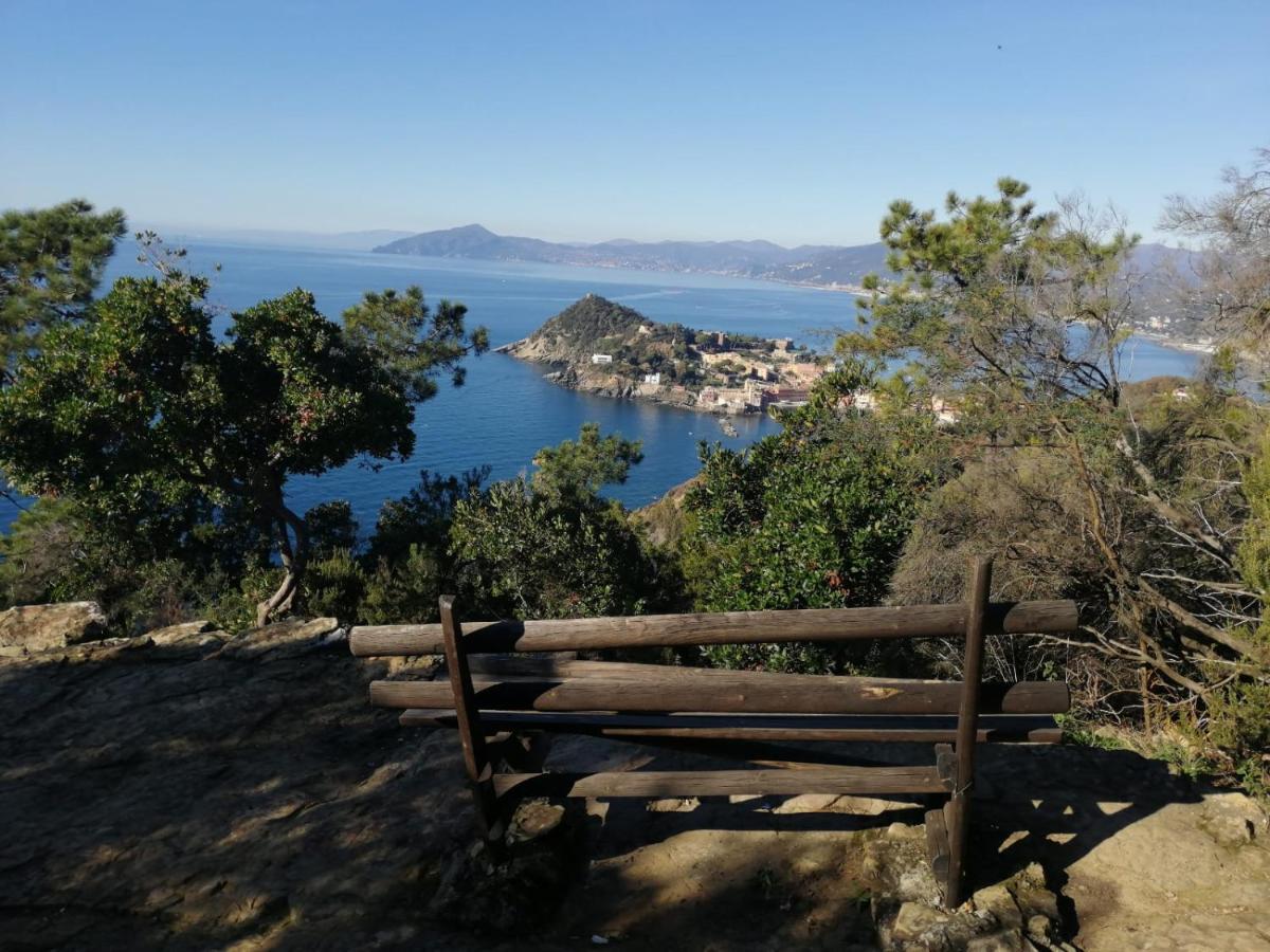 Hotel Sereno Sestri Levante Exteriér fotografie