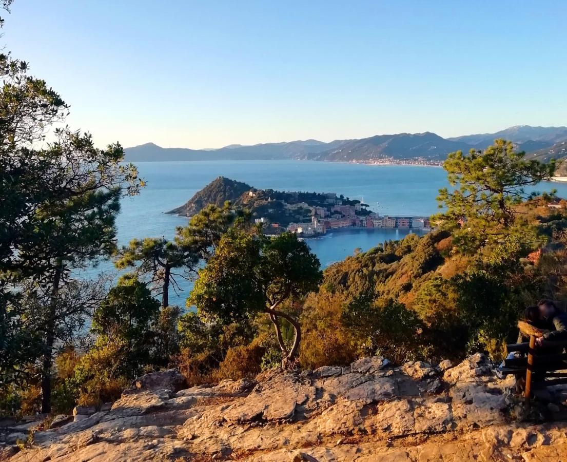 Hotel Sereno Sestri Levante Exteriér fotografie